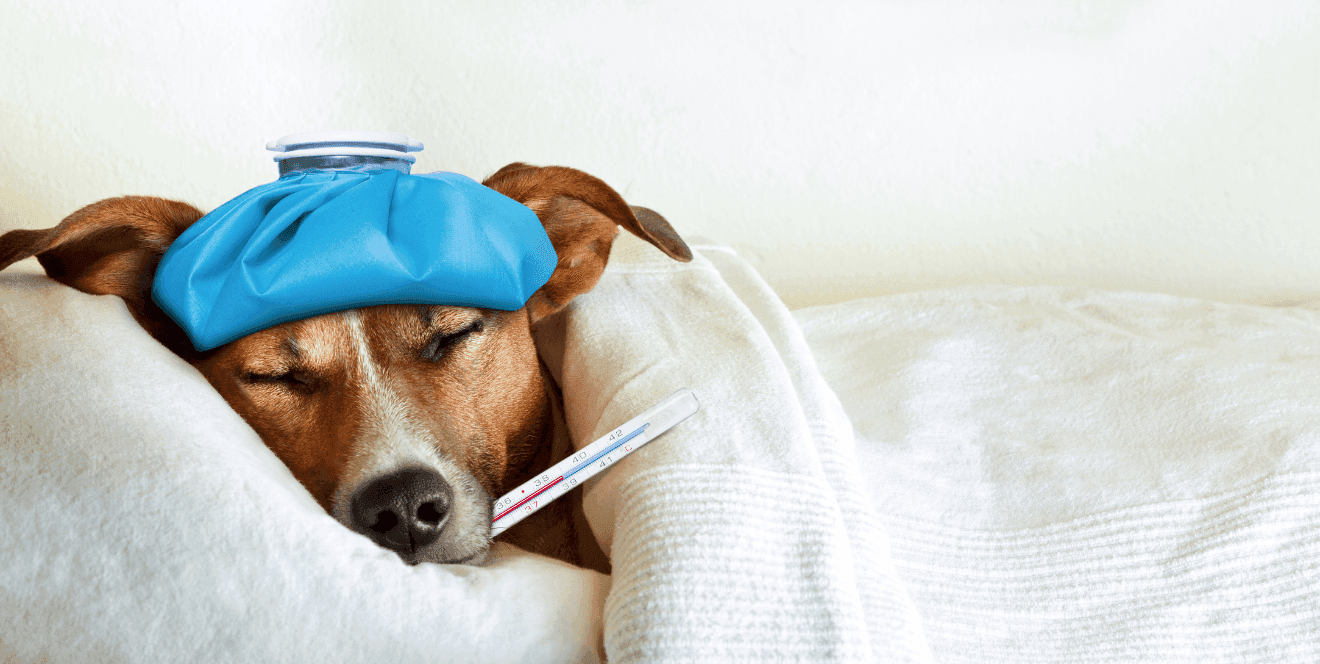 Long-Term Sick Leave and Final Holiday Pay: UK Leaver Guide